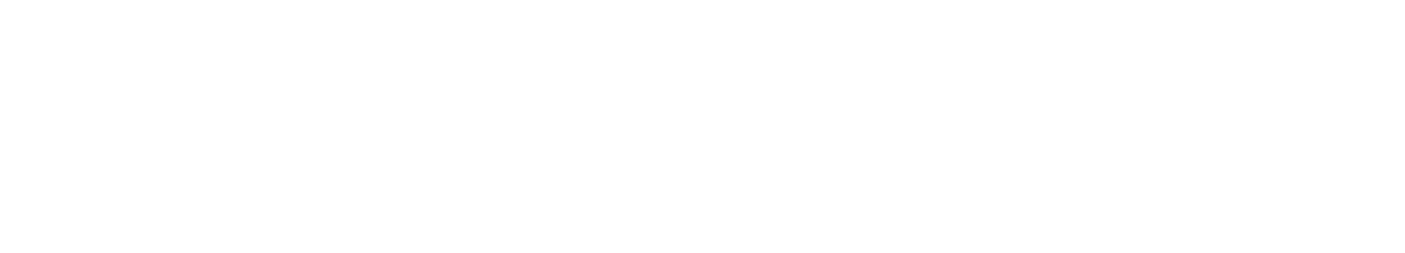 eSTOCK-PRO ​